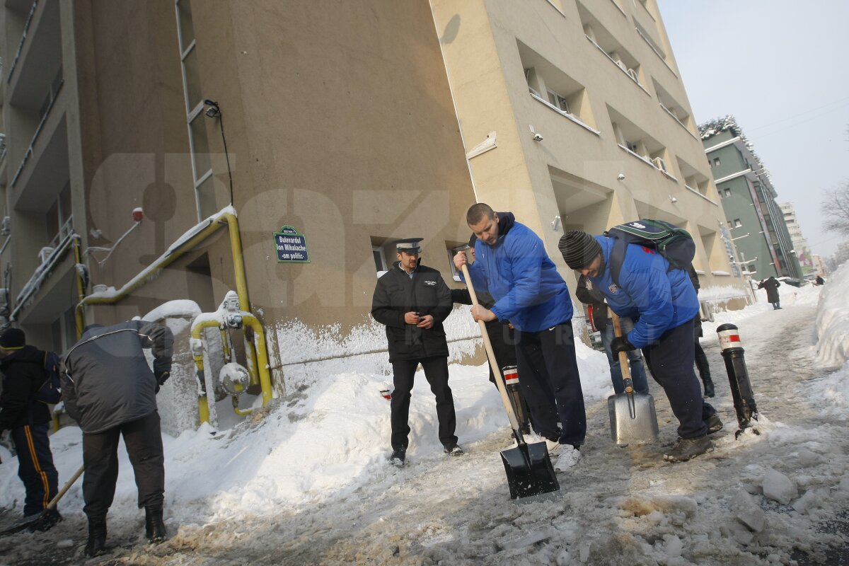 De la minge la lopată » Baschetbaliştii şi rugbyştii din Bucureşti, încolonaţi pentru deszăpezire