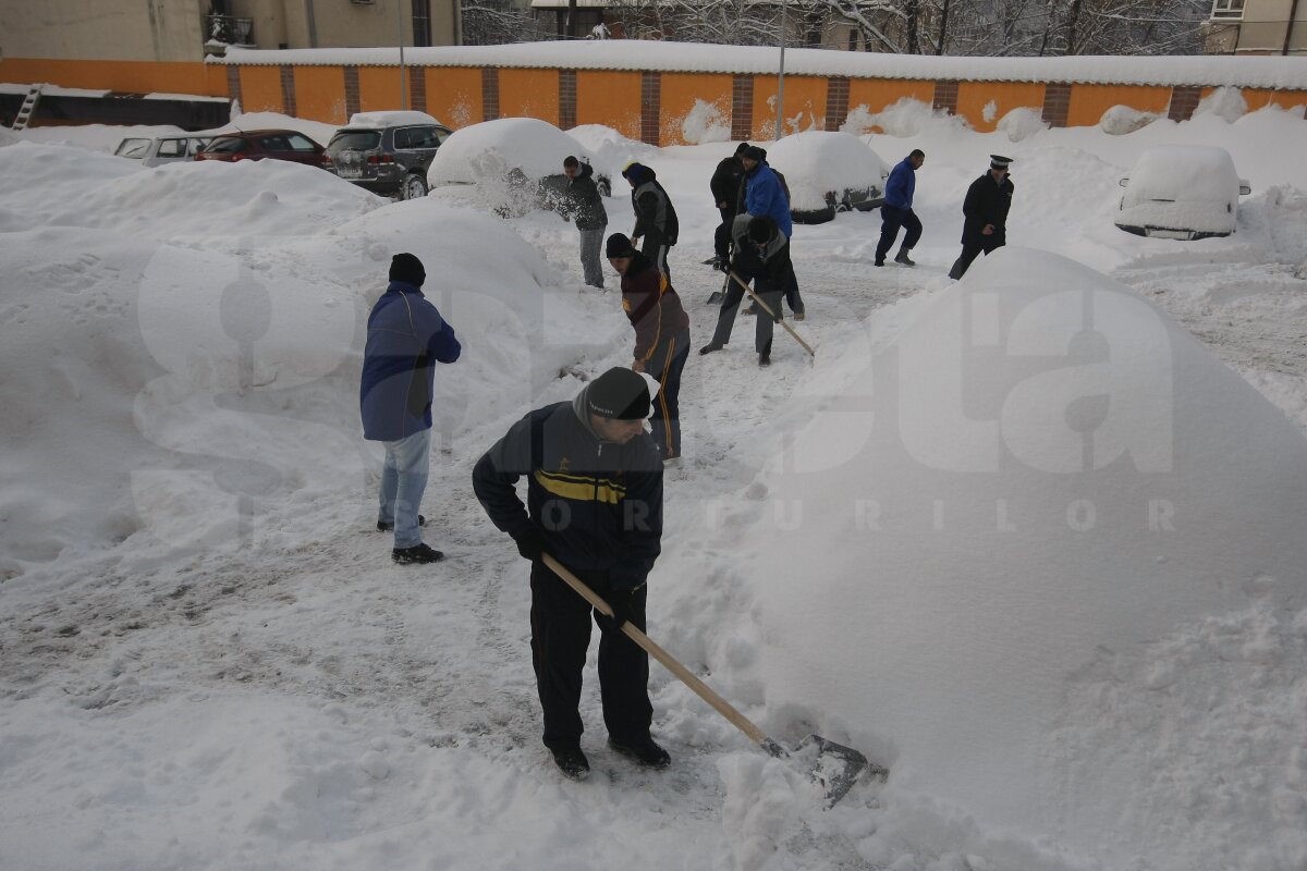 De la minge la lopată » Baschetbaliştii şi rugbyştii din Bucureşti, încolonaţi pentru deszăpezire