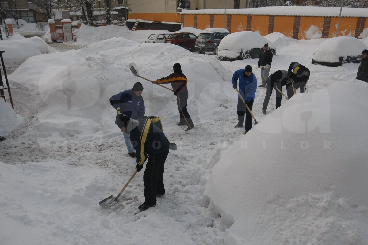 De la minge la lopată » Baschetbaliştii şi rugbyştii din Bucureşti, încolonaţi pentru deszăpezire