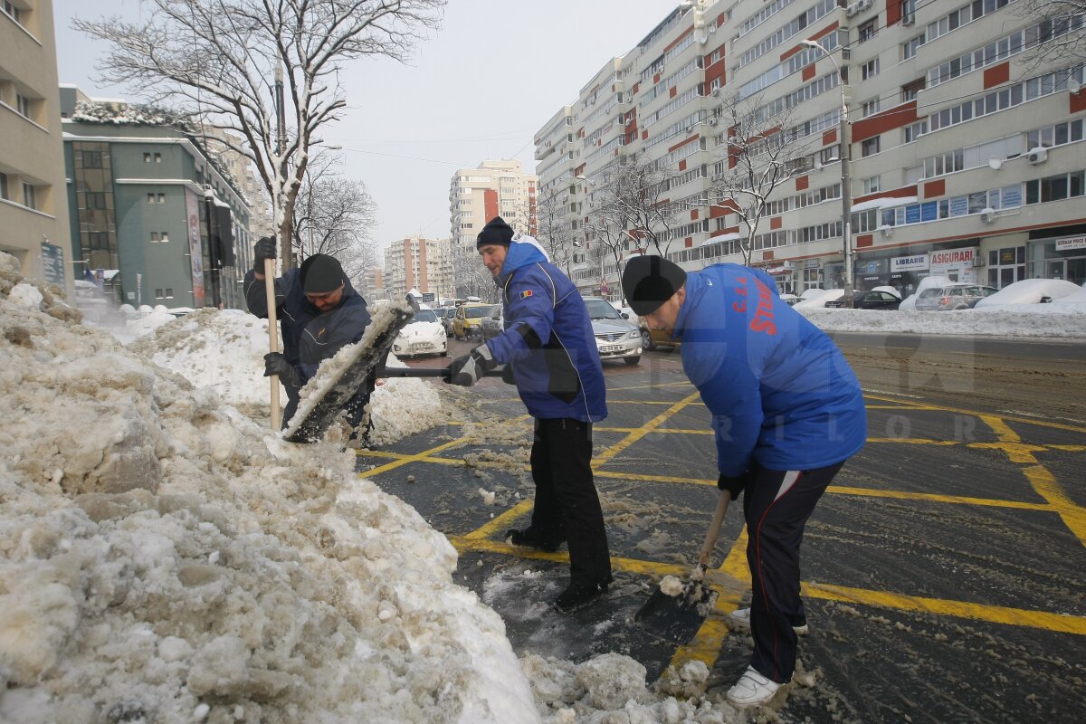 De la minge la lopată » Baschetbaliştii şi rugbyştii din Bucureşti, încolonaţi pentru deszăpezire