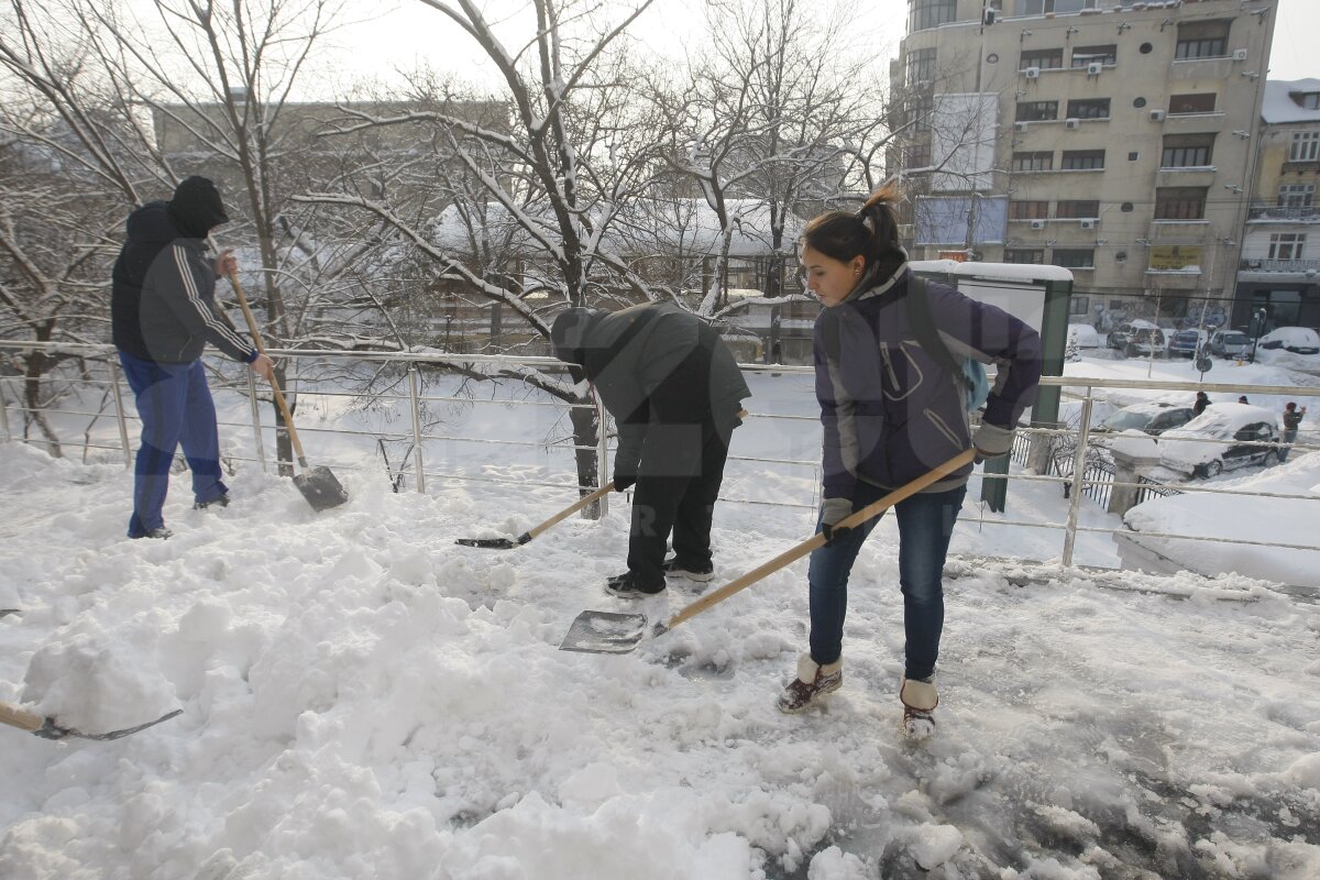 De la minge la lopată » Baschetbaliştii şi rugbyştii din Bucureşti, încolonaţi pentru deszăpezire