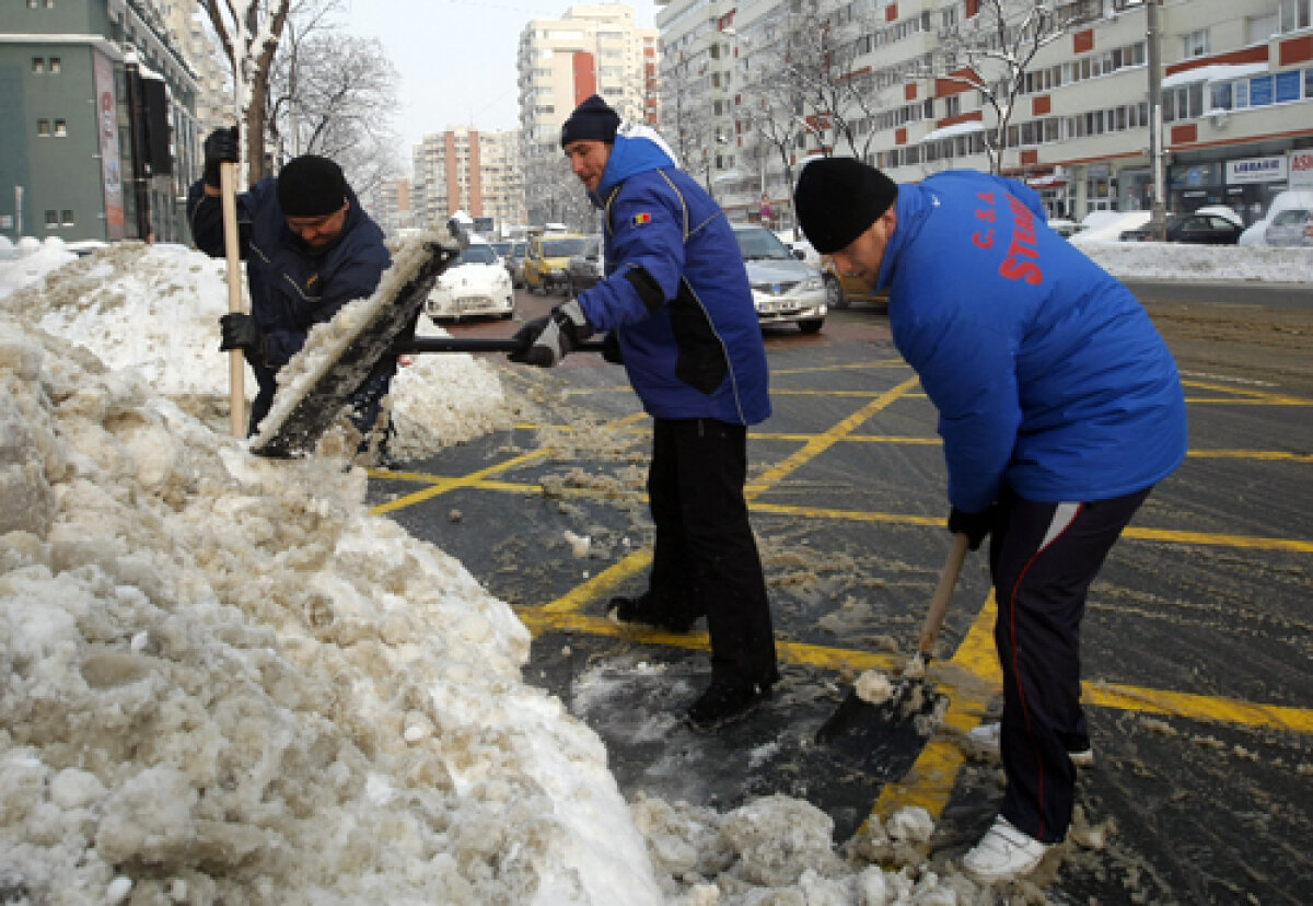 GALERIE FOTO Heirup prin zăpadă! » Rugbiştii şi baschetbaliştii au ajutat la deszăpezirea Bucureştiului