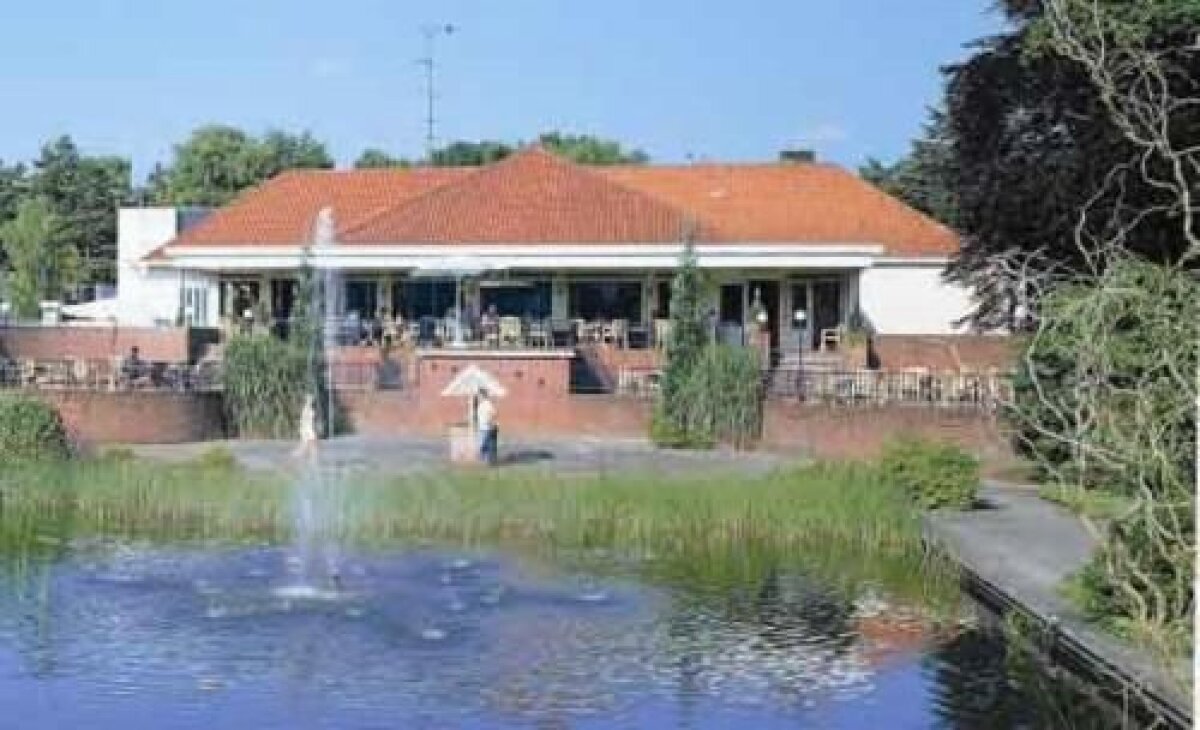 Steliştii, tot cu nervi şi în Olanda! Află motivul