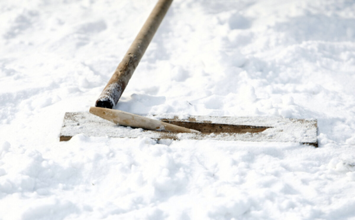 Super Bowl de România » Ţurca a reînviat la Sighetu Marmaţiei şi vrea să devină sport