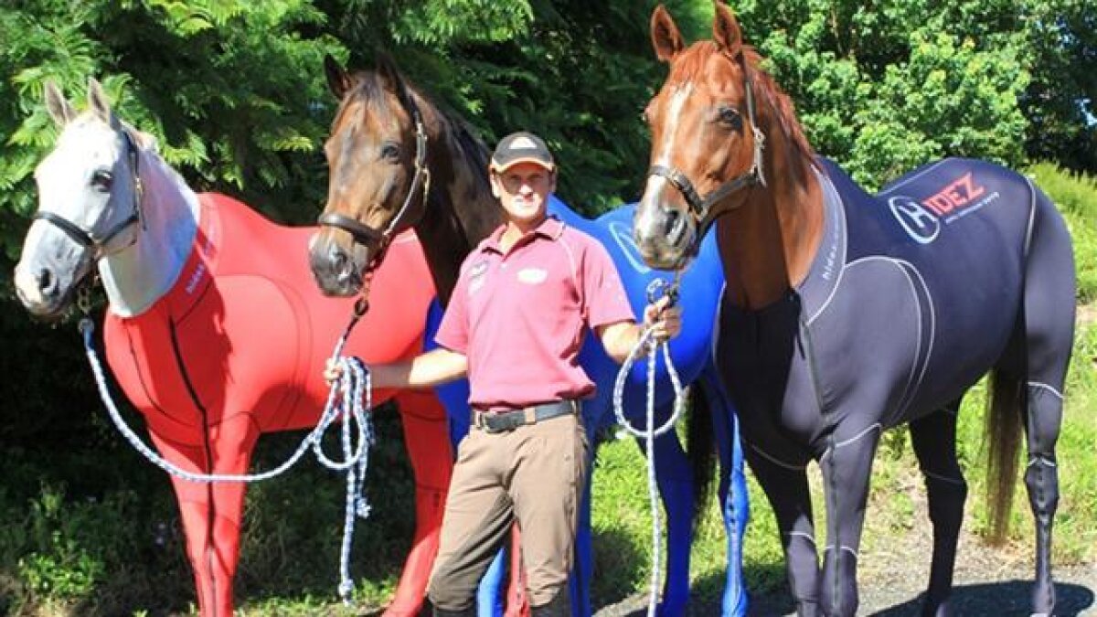 FOTO Noutate incredibilă! Caii vor purta echipament la Olimpiada de la Londra ;)