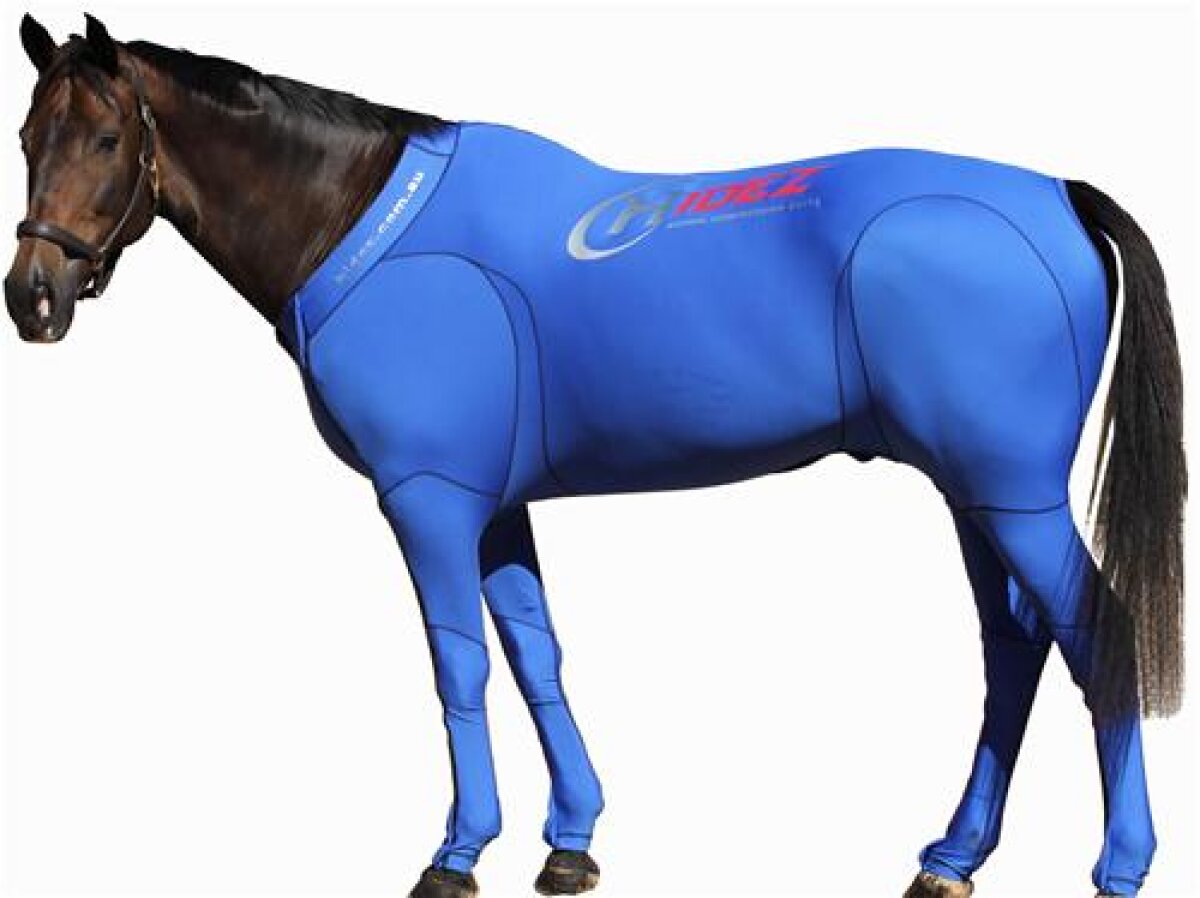 FOTO Noutate incredibilă! Caii vor purta echipament la Olimpiada de la Londra ;)