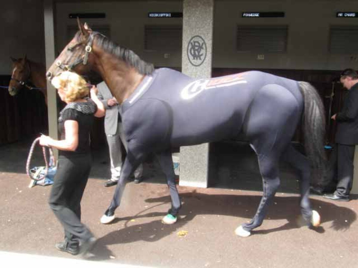 FOTO Noutate incredibilă! Caii vor purta echipament la Olimpiada de la Londra ;)