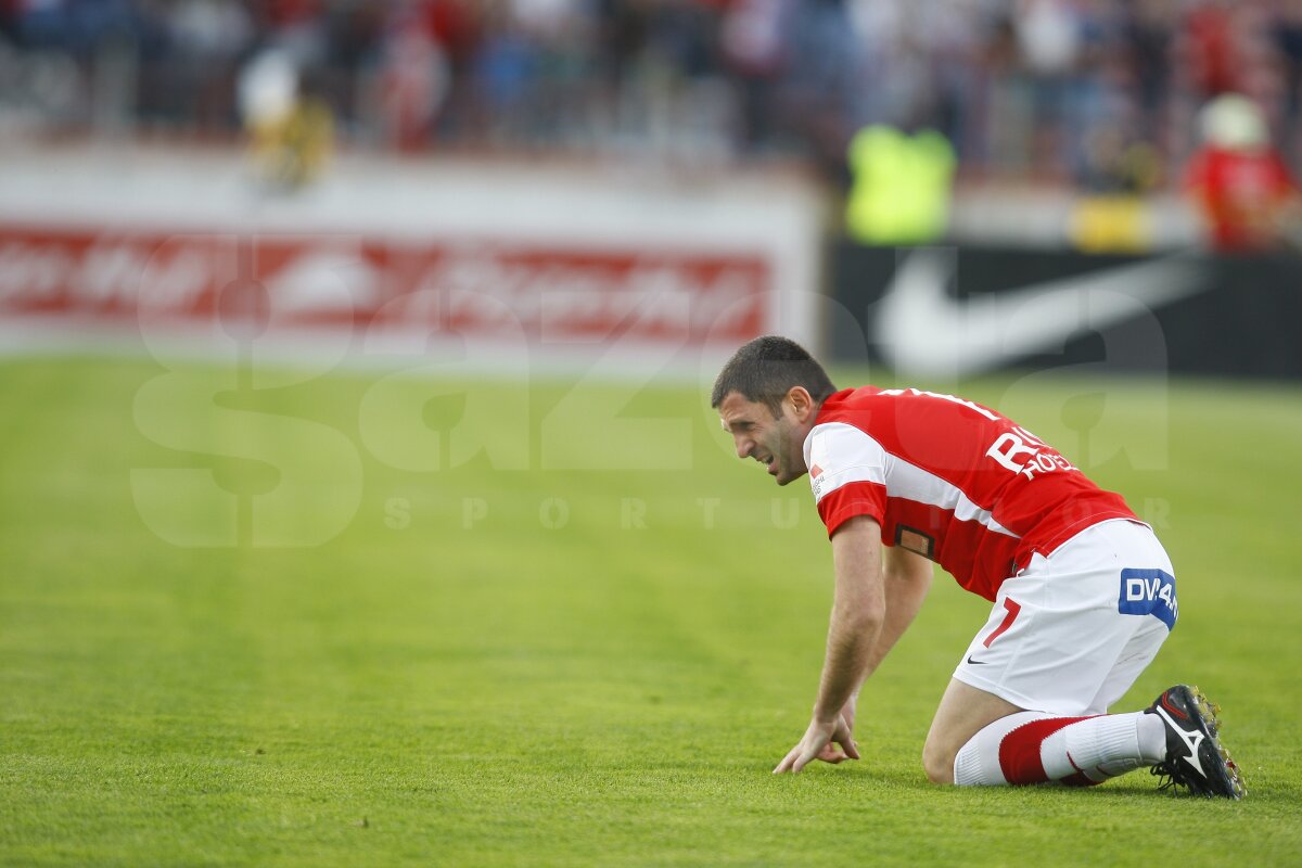 Dinamo - Petrolul 1-3 » "Căţeluşi" de pluş, jucăria nou-promovatelor