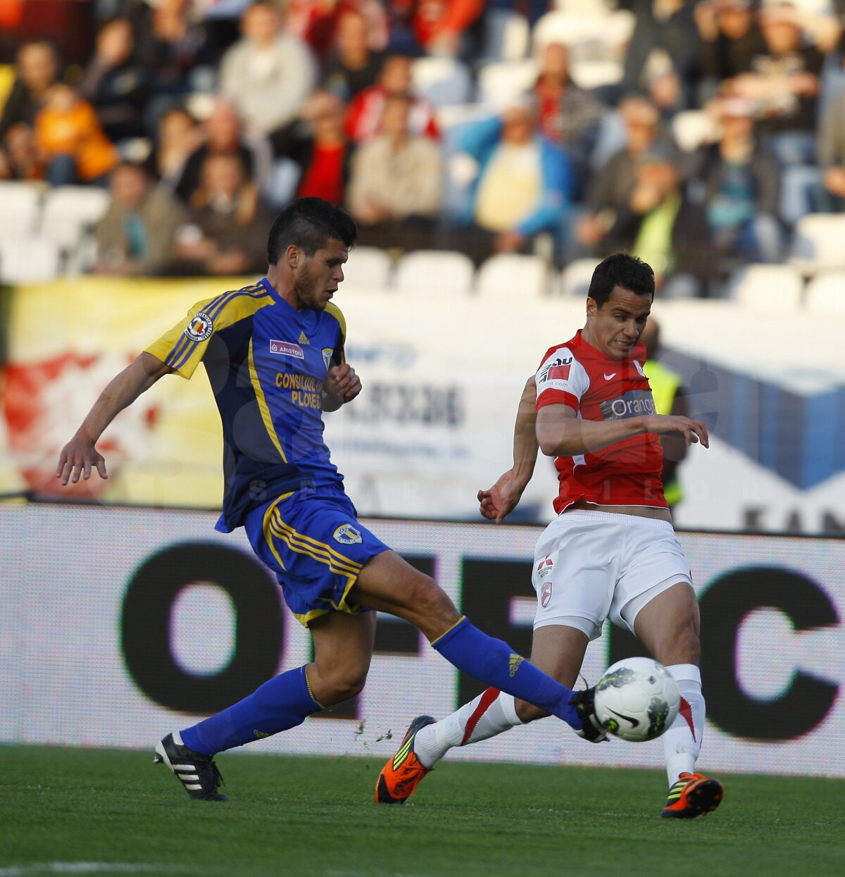 Dinamo - Petrolul 1-3 » "Căţeluşi" de pluş, jucăria nou-promovatelor