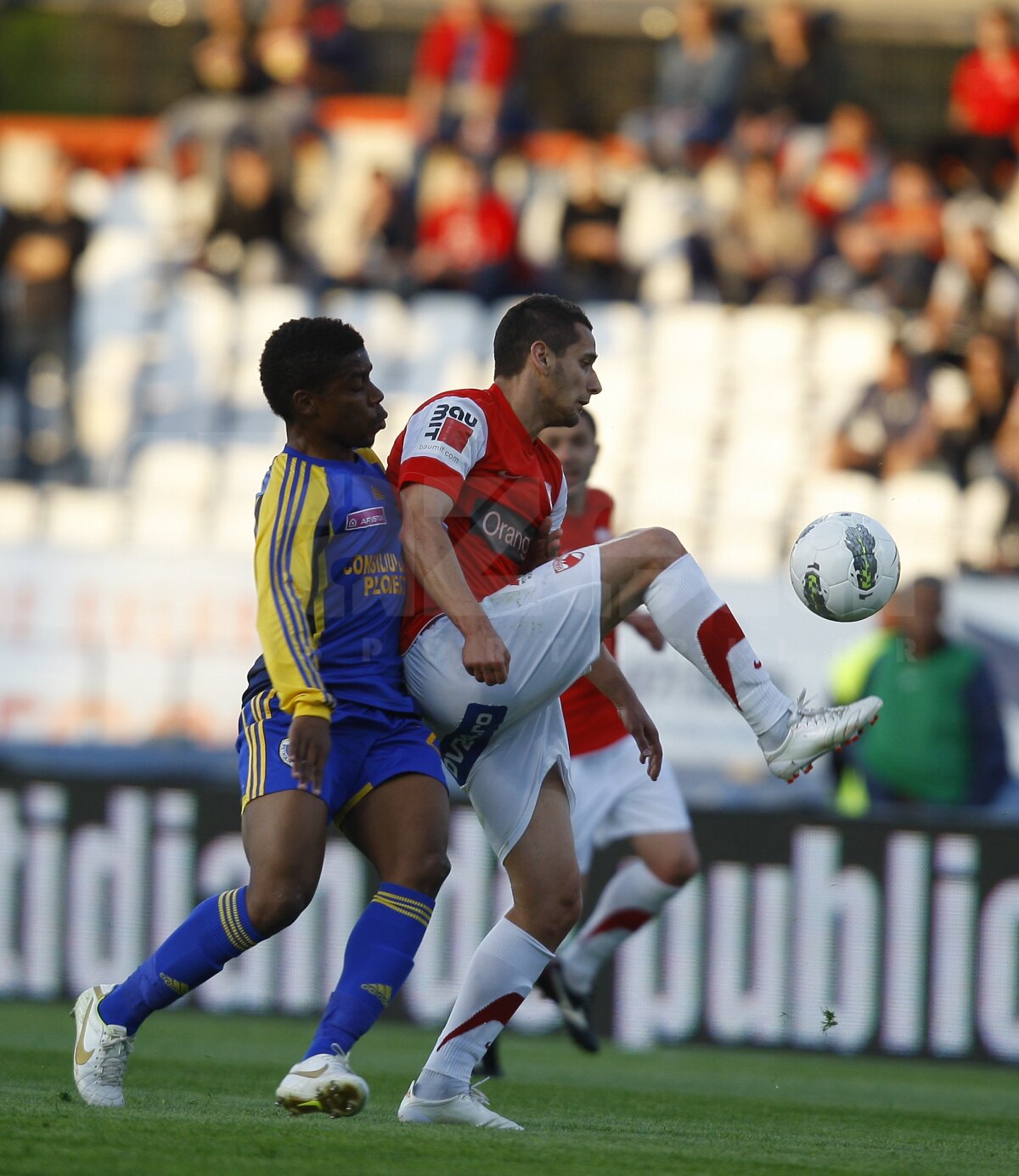 Dinamo - Petrolul 1-3 » "Căţeluşi" de pluş, jucăria nou-promovatelor