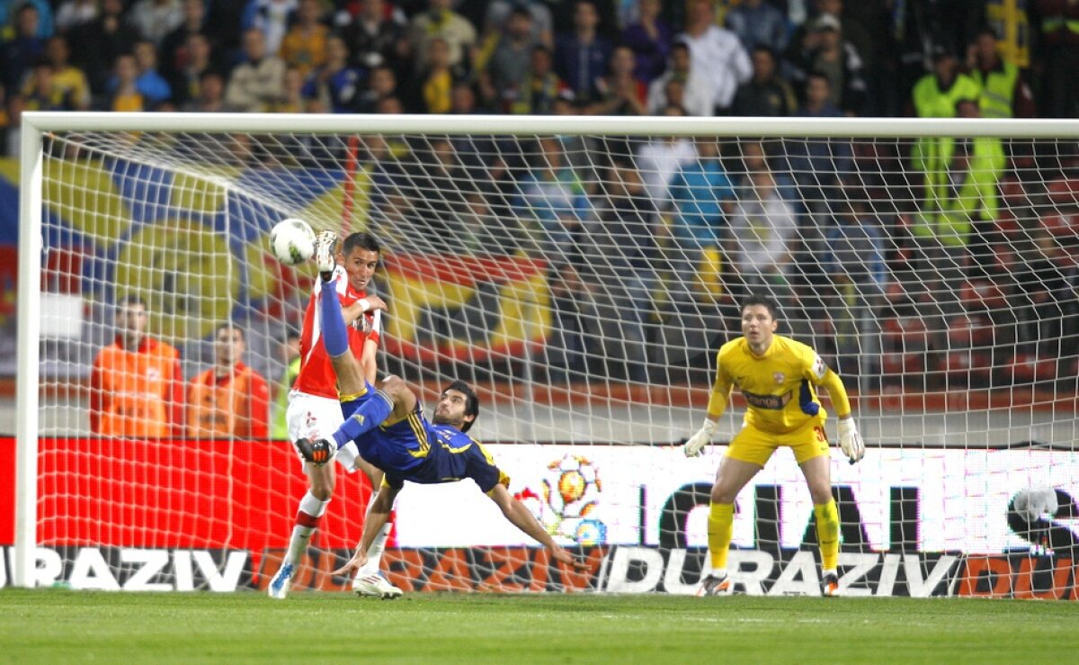 Dinamo - Petrolul 1-3 » "Căţeluşi" de pluş, jucăria nou-promovatelor