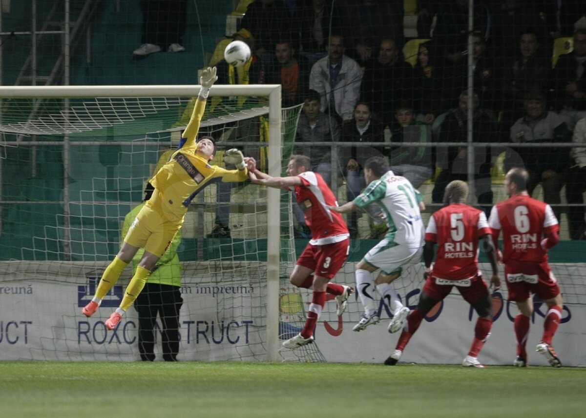 FOTO Chiajna - Dinamo 1-3 » "Cîinii" respiră şi rămîn în lupta pentru titlu