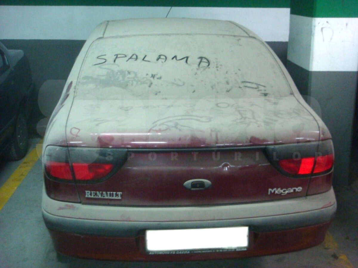 SUPERFOTO Praful de pe maşini, transformat în opere de artă!