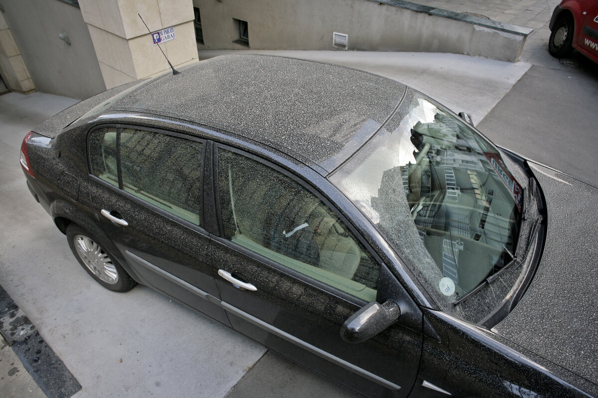 SUPERFOTO Praful de pe maşini, transformat în opere de artă!