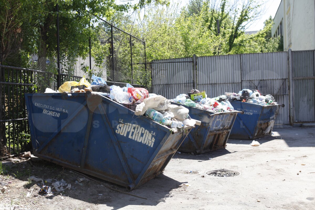 Maidanezi, chiloţi în soare şi miros de hoit » Bucureştiul din jurul Naţional Arena: ce îi aşteaptă pe suporteri la finala Europa League de pe 9 mai