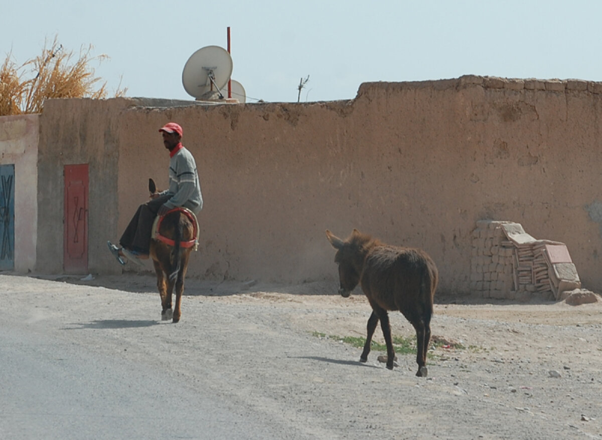 Lodgy în "Oraşul Roşu" » Fotoreportaj cu cel mai nou monovolum Dacia în Maroc