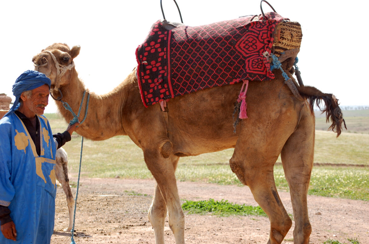 Lodgy în "Oraşul Roşu" » Fotoreportaj cu cel mai nou monovolum Dacia în Maroc