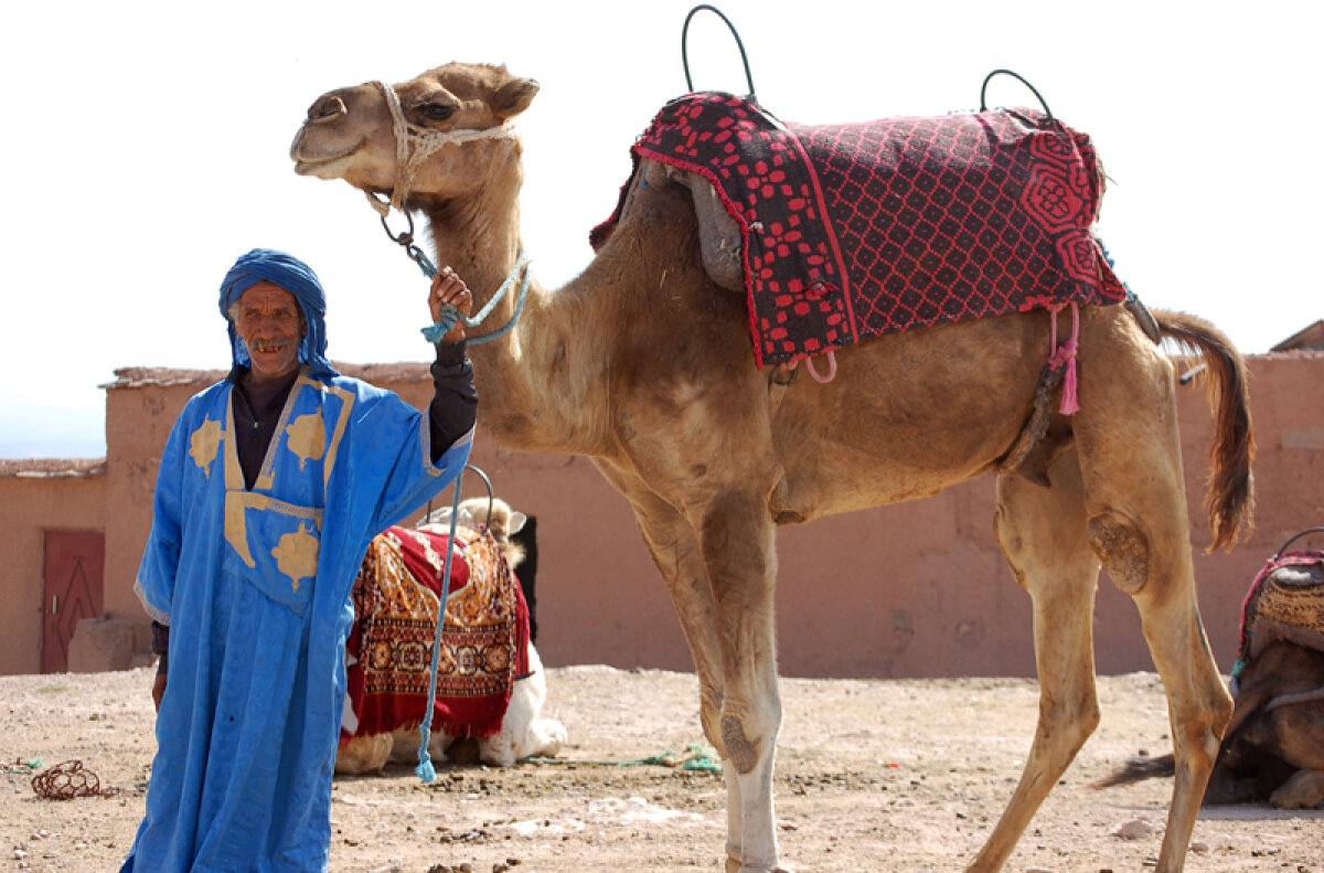 Lodgy în "Oraşul Roşu" » Fotoreportaj cu cel mai nou monovolum Dacia în Maroc