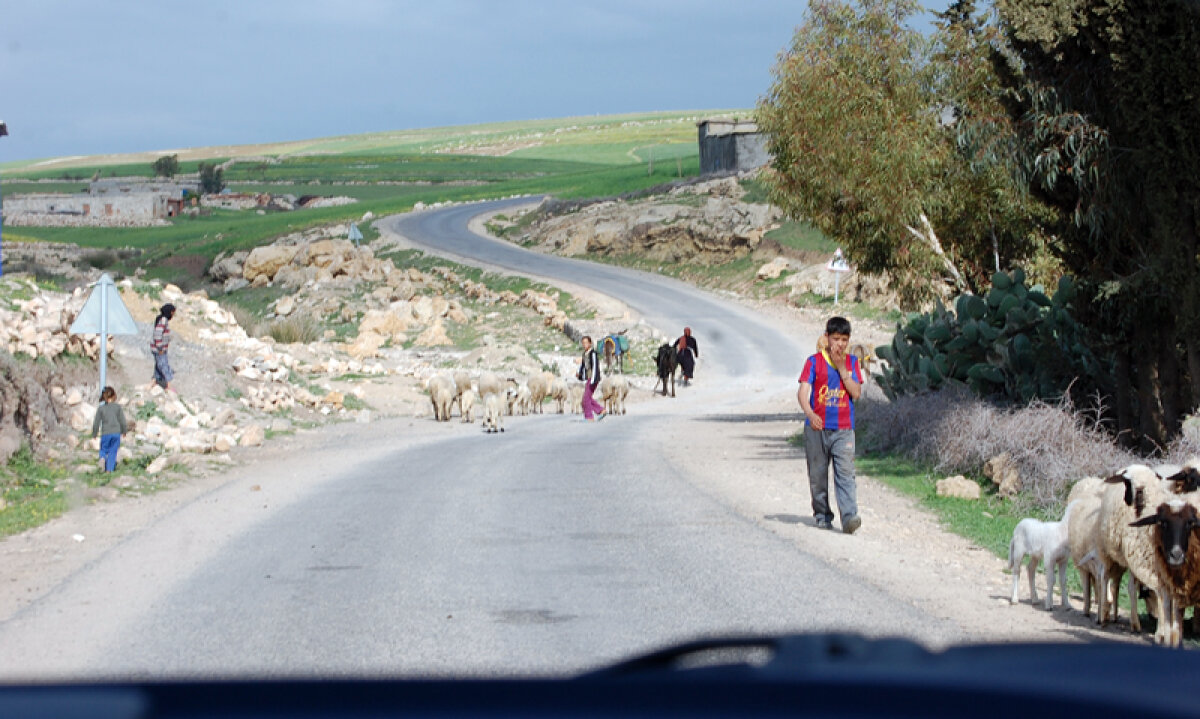 Lodgy în "Oraşul Roşu" » Fotoreportaj cu cel mai nou monovolum Dacia în Maroc