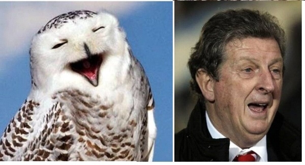 8 ipostaze care dovedesc că Roy Hodgson e o bufniţă reîncarnată :D