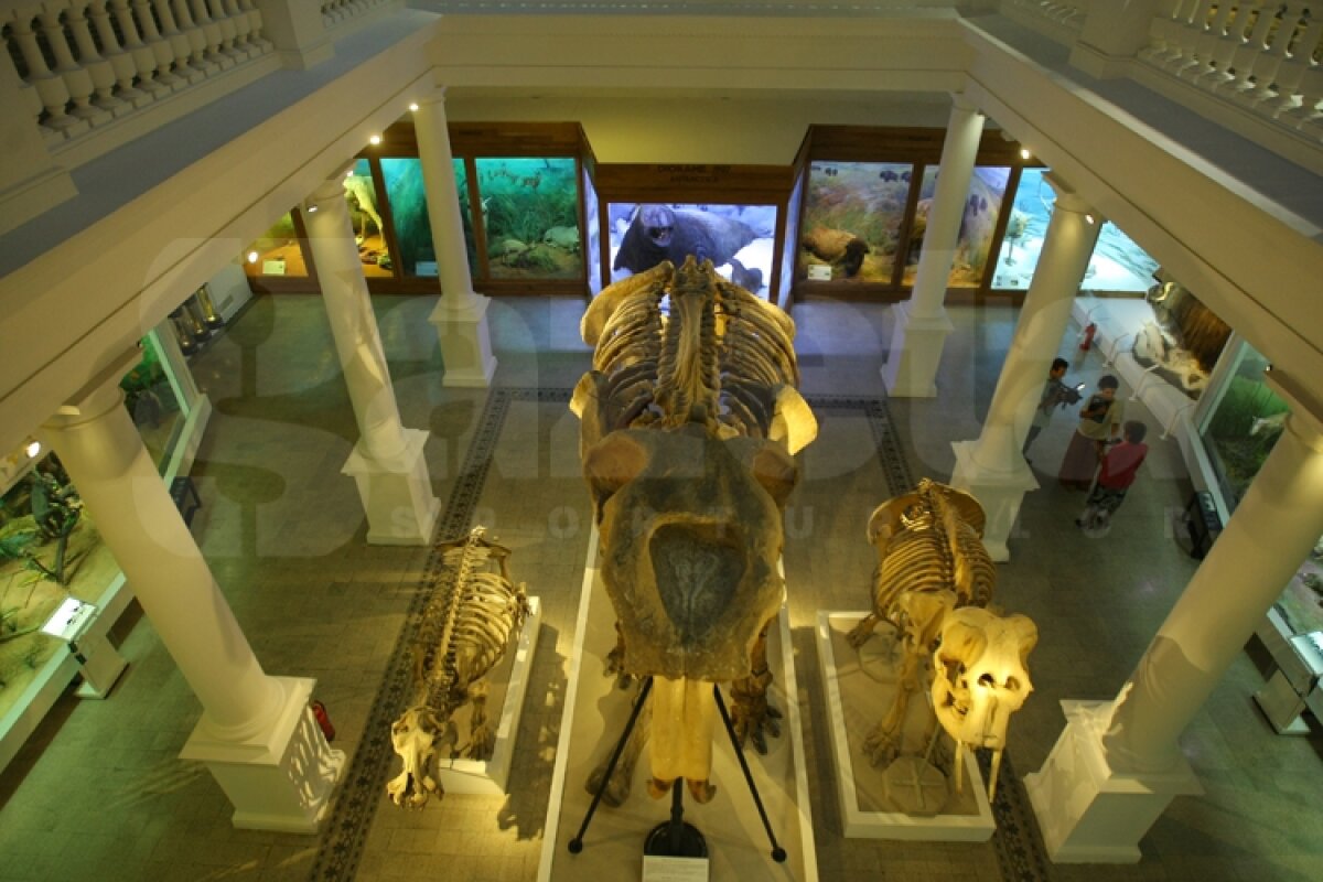 Guía de Bucarest para nuestros huéspedes » ¡Esto es Bucarest! ¡Disfrutad!