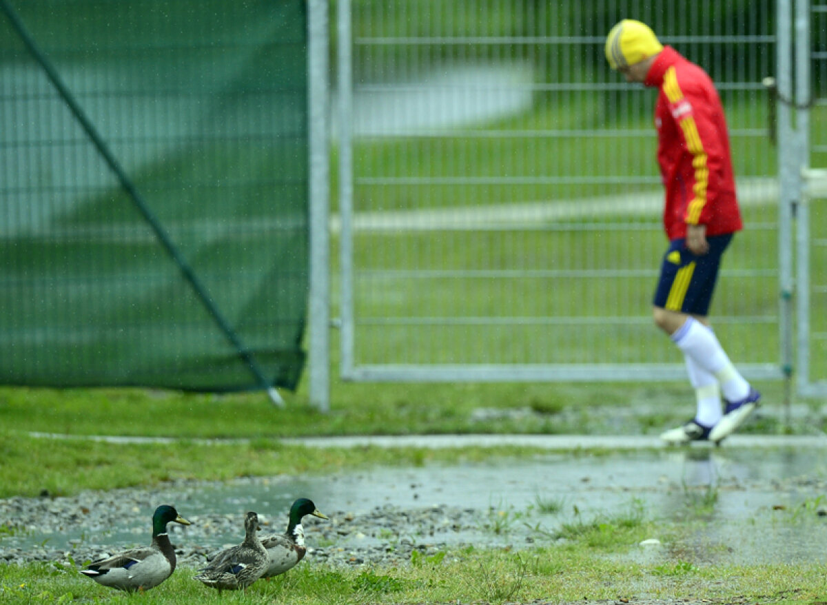 Piţi, înaintea penultimului meci de pregătire pentru CM 2014: "Să fie cu noroc, să ajungem în Brazilia!"