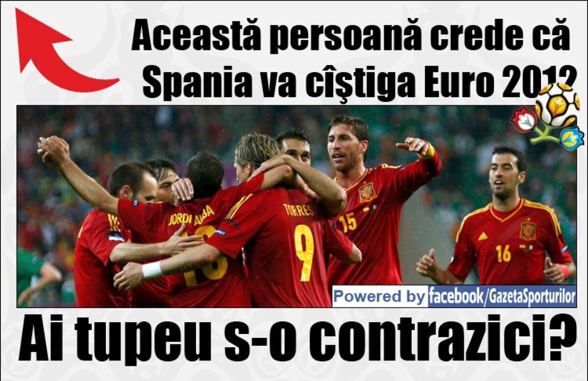 Cine cîştigă Euro 2012? Alege-ţi echipa preferată!