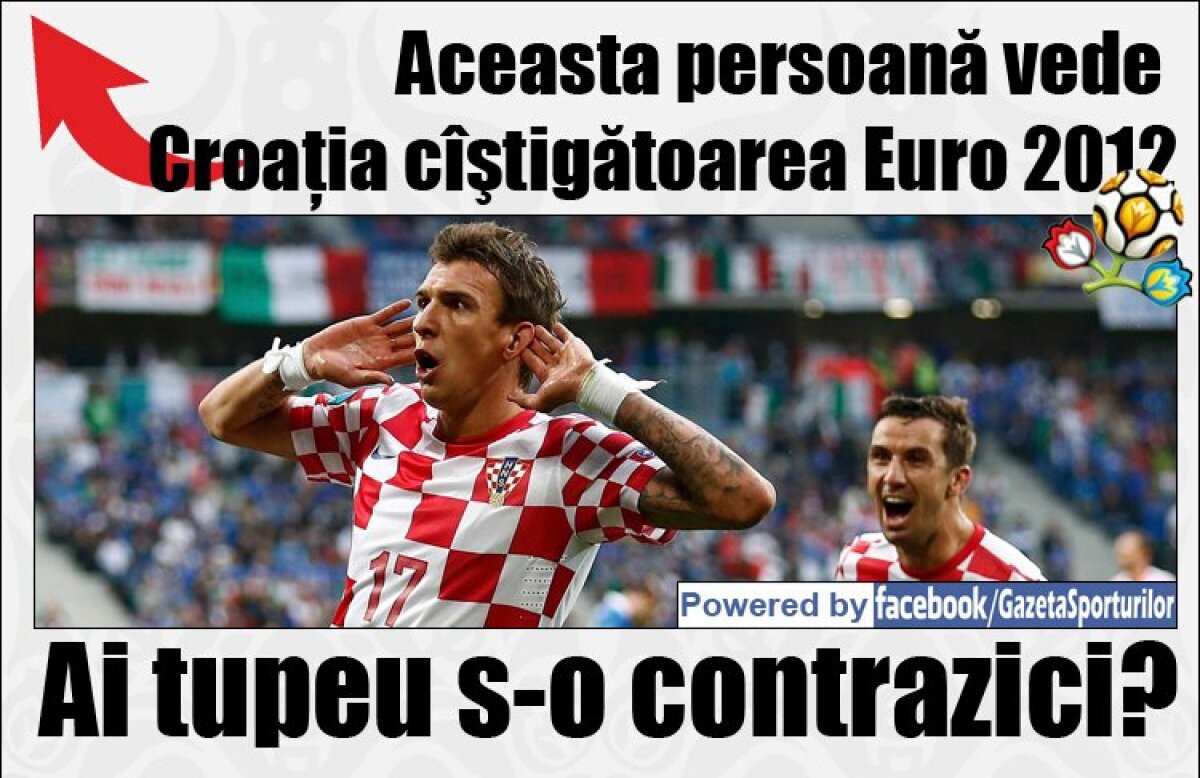 Cine cîştigă Euro 2012? Alege-ţi echipa preferată!