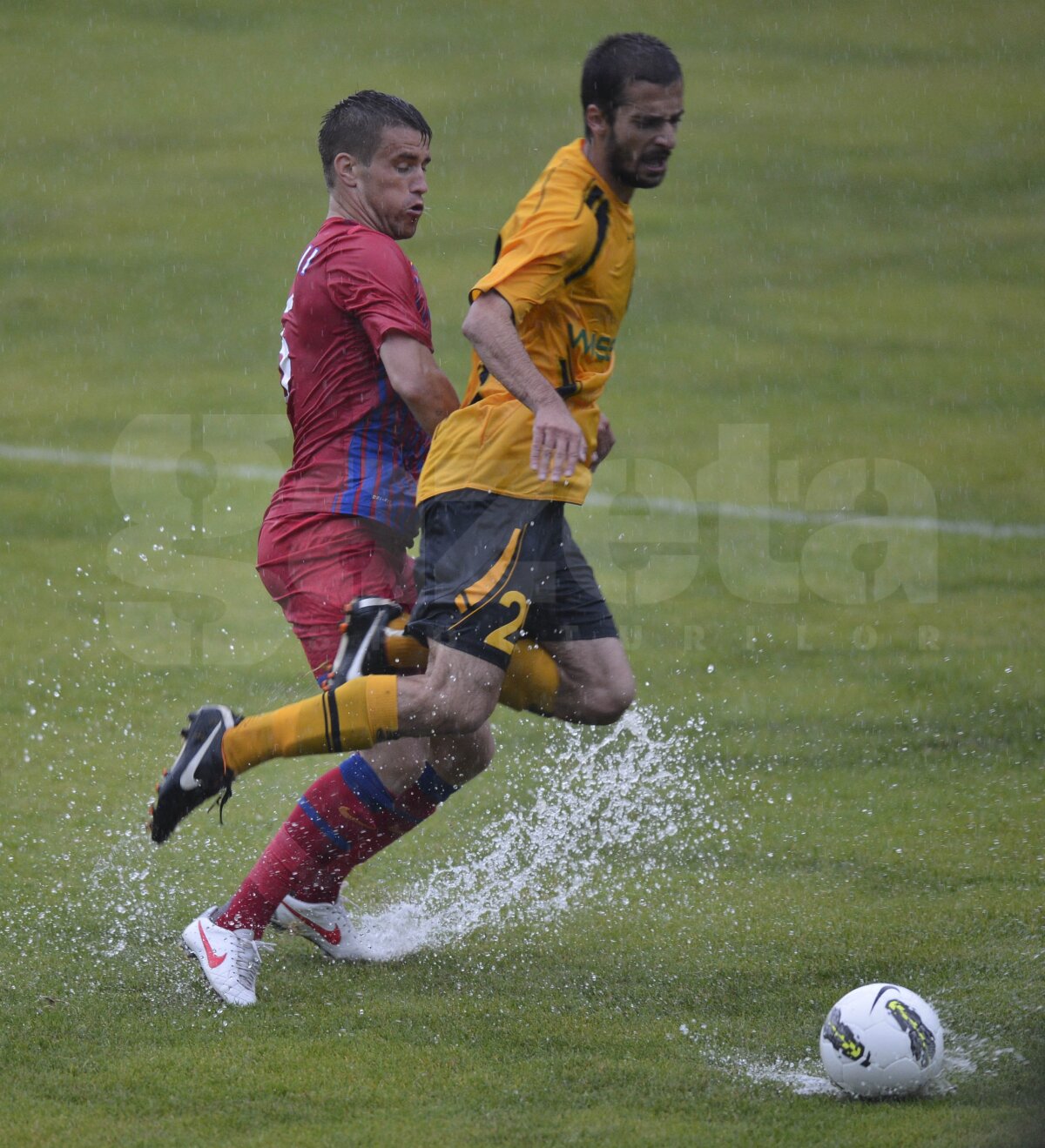 FOTO Steaua - Torpedo Kutaisi 1-1 » Steaua lui Reghe e pregătită doar pentru o repriză