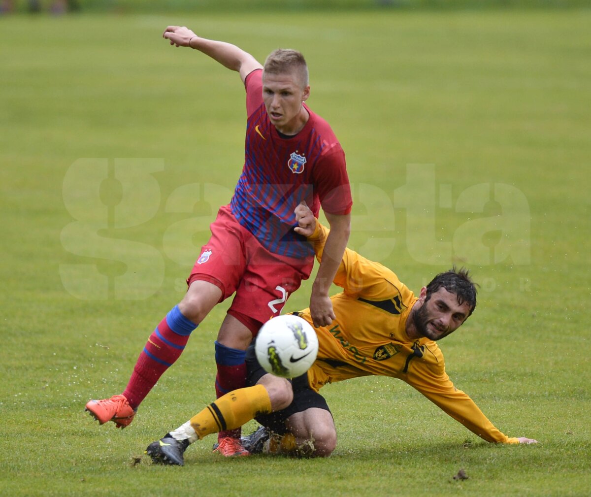 FOTO Steaua - Torpedo Kutaisi 1-1 » Steaua lui Reghe e pregătită doar pentru o repriză