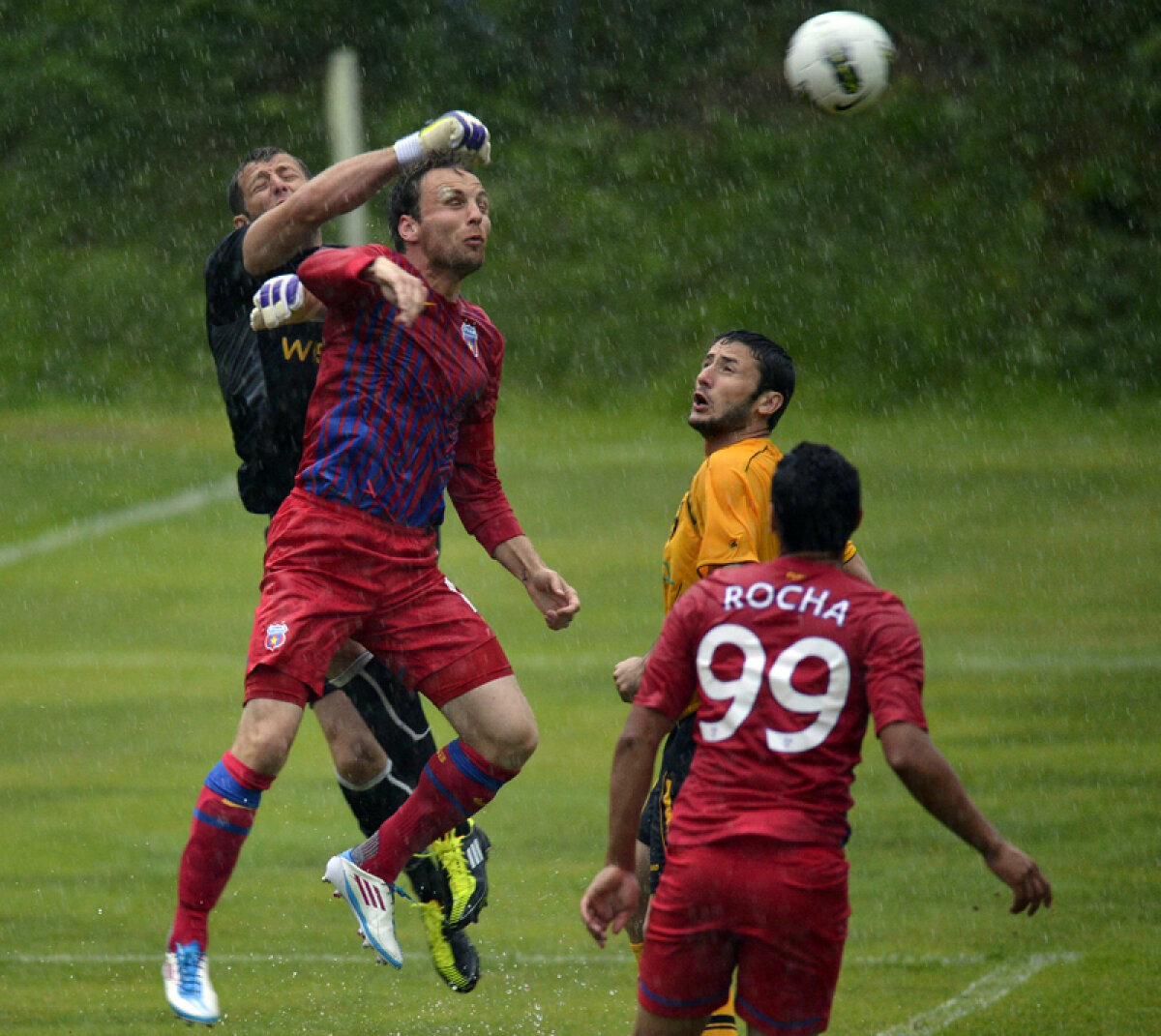 FOTO Haos pe apă » Reghe a debutat cu un egal pe banca Stelei, 1-1 cu Torpedo Kutaisi