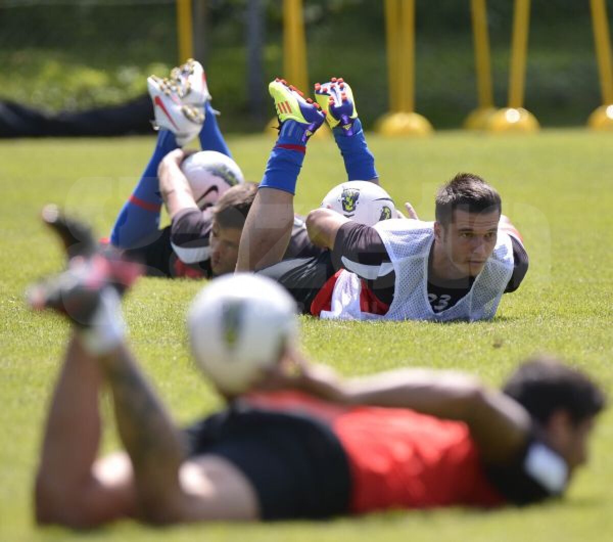 FOTO La muncăăăă! :D » Steliştii cad laţi după antrenamentele lui Reghe