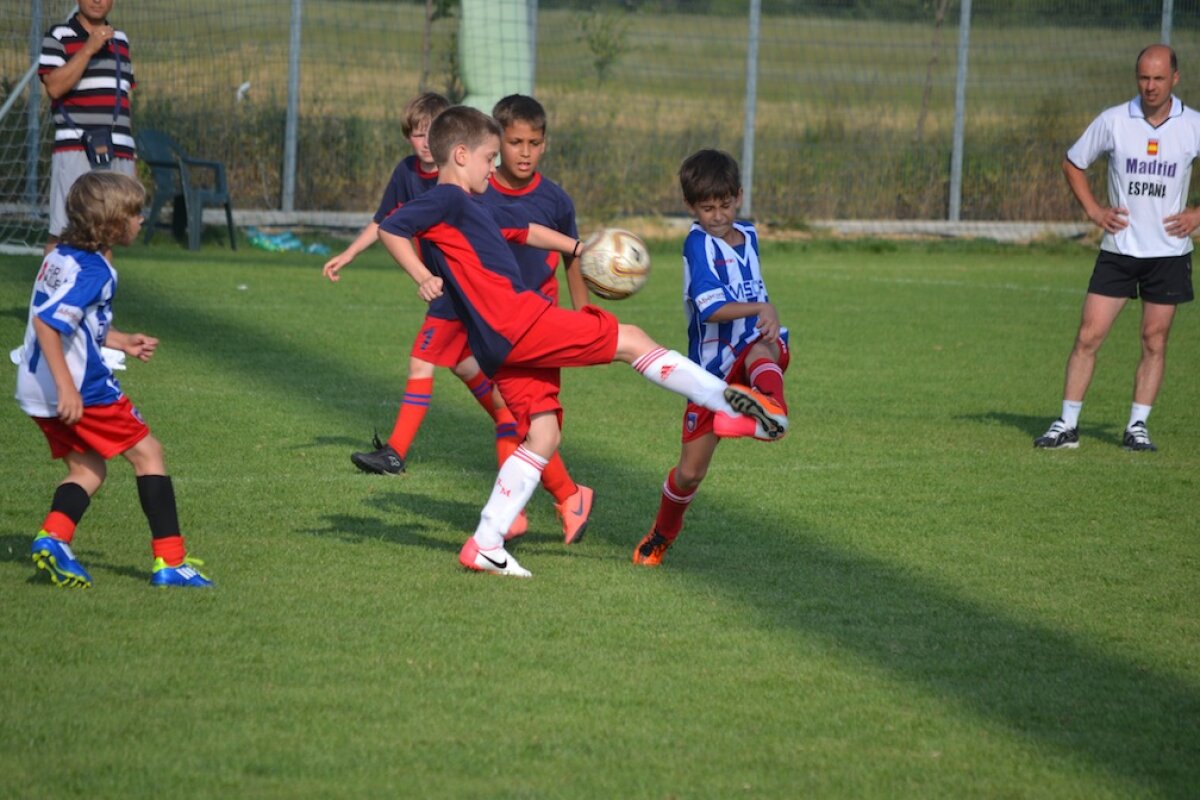 Cupa ProLuceafarul si povestile sale frumoase