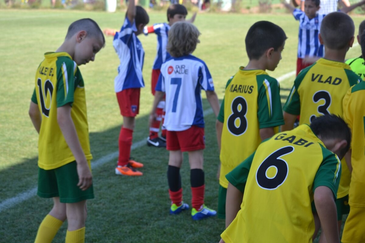 Cupa ProLuceafarul si povestile sale frumoase