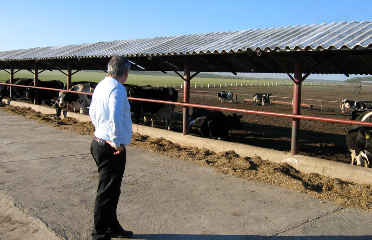 Partea a doua din interviul pe care Porumboiu l-a acordat Gazetei: "Jumătate dintr-un an o petrec vorbind la telefon!"