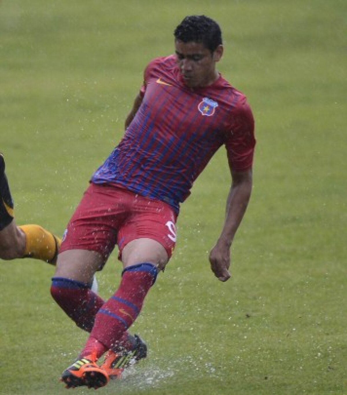 Rocha trebuie să fie noul Claudiu Răducanu! » Steaua n-a mai dat un golgeter de aproape un deceniu