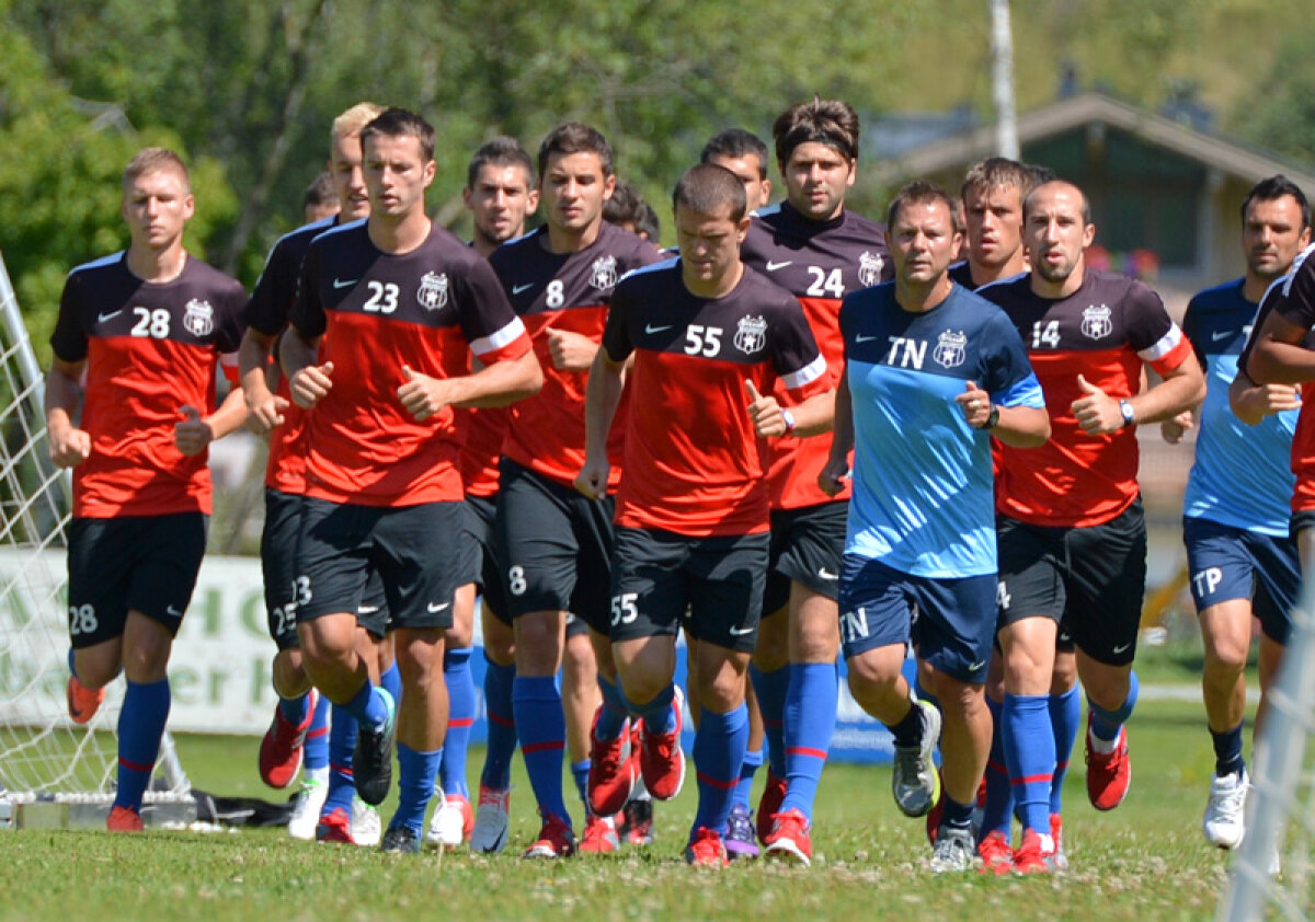 Steaua românească şi Babel Vaslui » Cum se deosebesc două dintre candidatele la titlu din următorul sezon