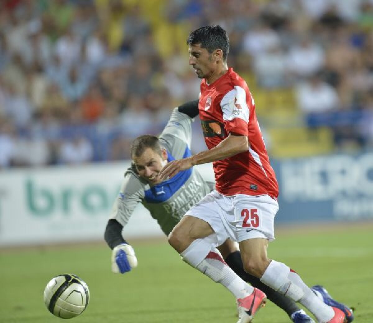 VIDEO + FOTO Dănciulescu a intrat şi a rezolvat cazul » "Corbul" le-a scos ochii