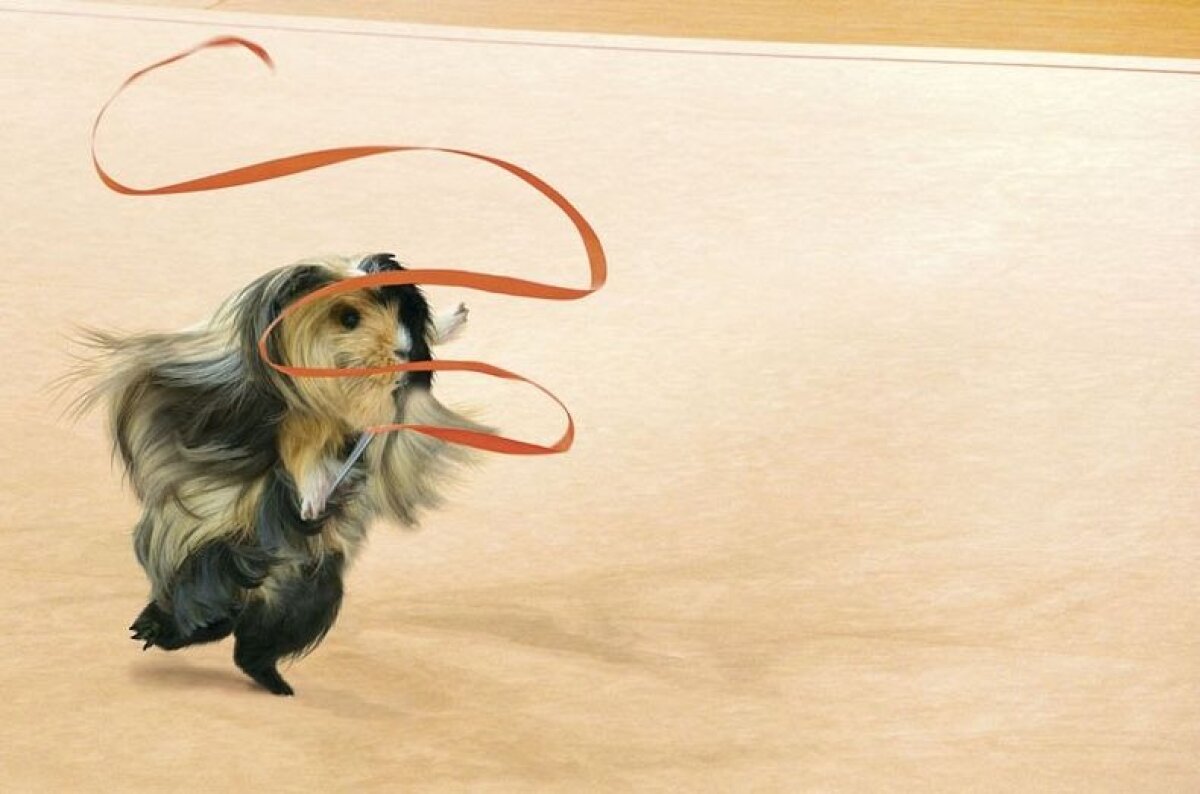 Hamsterii au luat cu asalt Londra » Invazie la piscina olimpică, la hipodrom şi în sălile de baschet :)