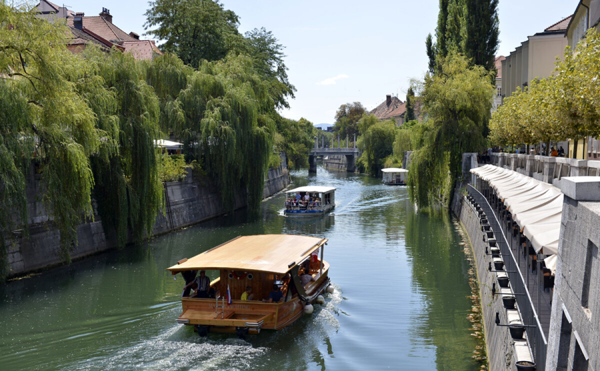 FOTO Uitaţi de ruina din Ljubljana » Stadionul ”Bezigrad”, unde România pierdea dramatic, 1-2, în barajul pentru CM 2002, e abandonat!
