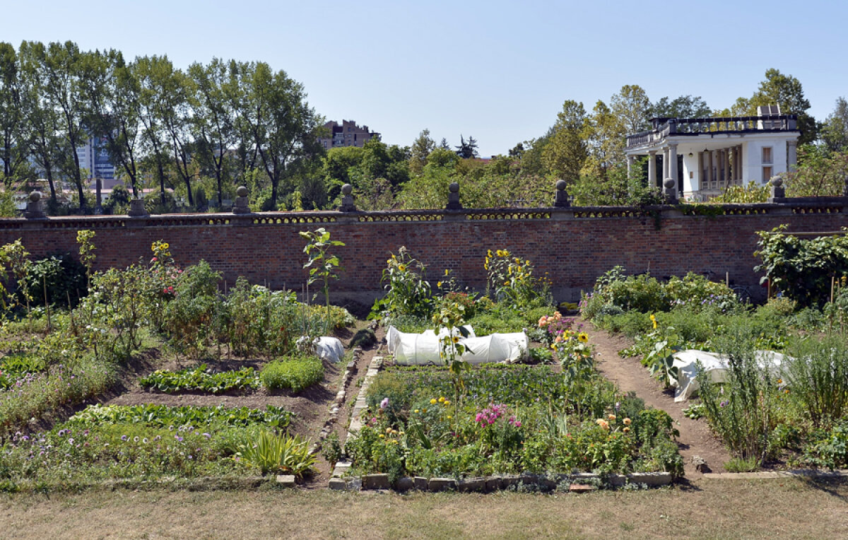 FOTO Uitaţi de ruina din Ljubljana » Stadionul ”Bezigrad”, unde România pierdea dramatic, 1-2, în barajul pentru CM 2002, e abandonat!