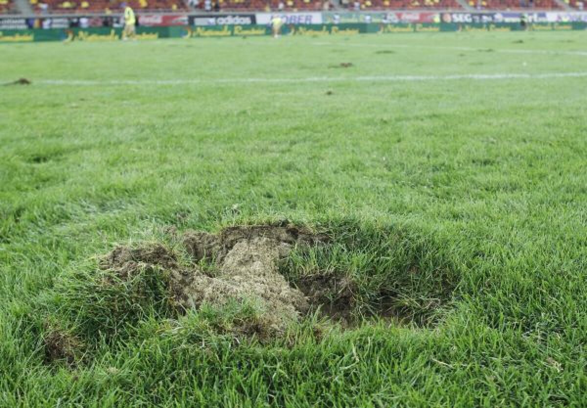 Operaţiunea "Gazonul 4" » Iarba de pe "Naţional Arena" a costat pînă acum 1,02 milioane euro