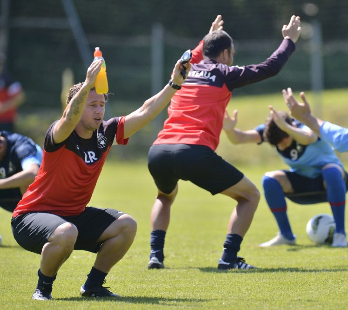 Reghe e în genunchi la Steaua: patronul a cerut, antrenorul a executat