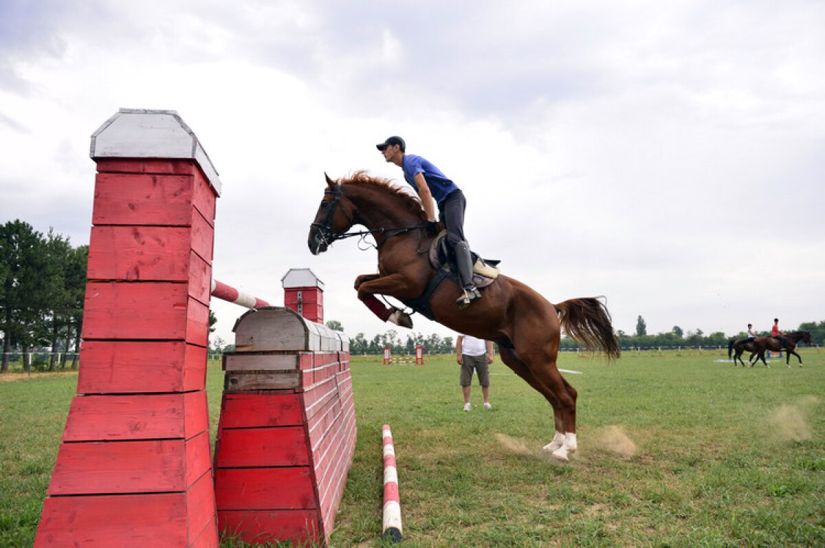FOTO Raiul fără bici » Povestea celei mai vechi herghelii de pe pămînt românesc