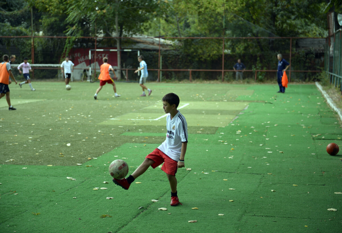 FOTO Nu sport, da cîrciumi! » Pe locul în care Ilie Năstase promitea o Academie de Tenis va apărea un club de fiţe