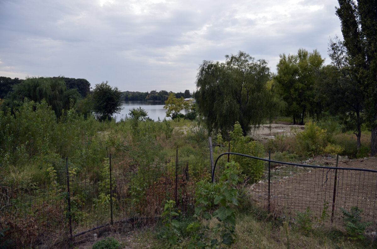 Înjurat şi umilit » Decăderea unui campion: Năstase este pus în situaţii jenante de logodnica sa