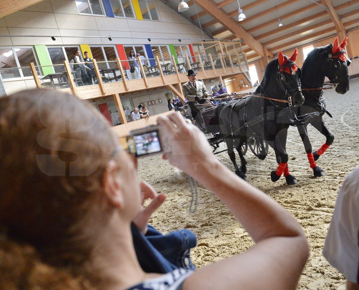 Salonul Calului, eveniment în premieră! Un fotoreportaj impresionant de la spectacolul ecvestru de la Tîncăbeşti