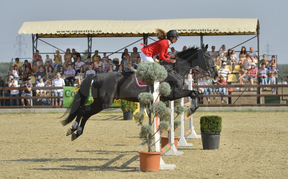 Salonul Calului, eveniment în premieră! Un fotoreportaj impresionant de la spectacolul ecvestru de la Tîncăbeşti