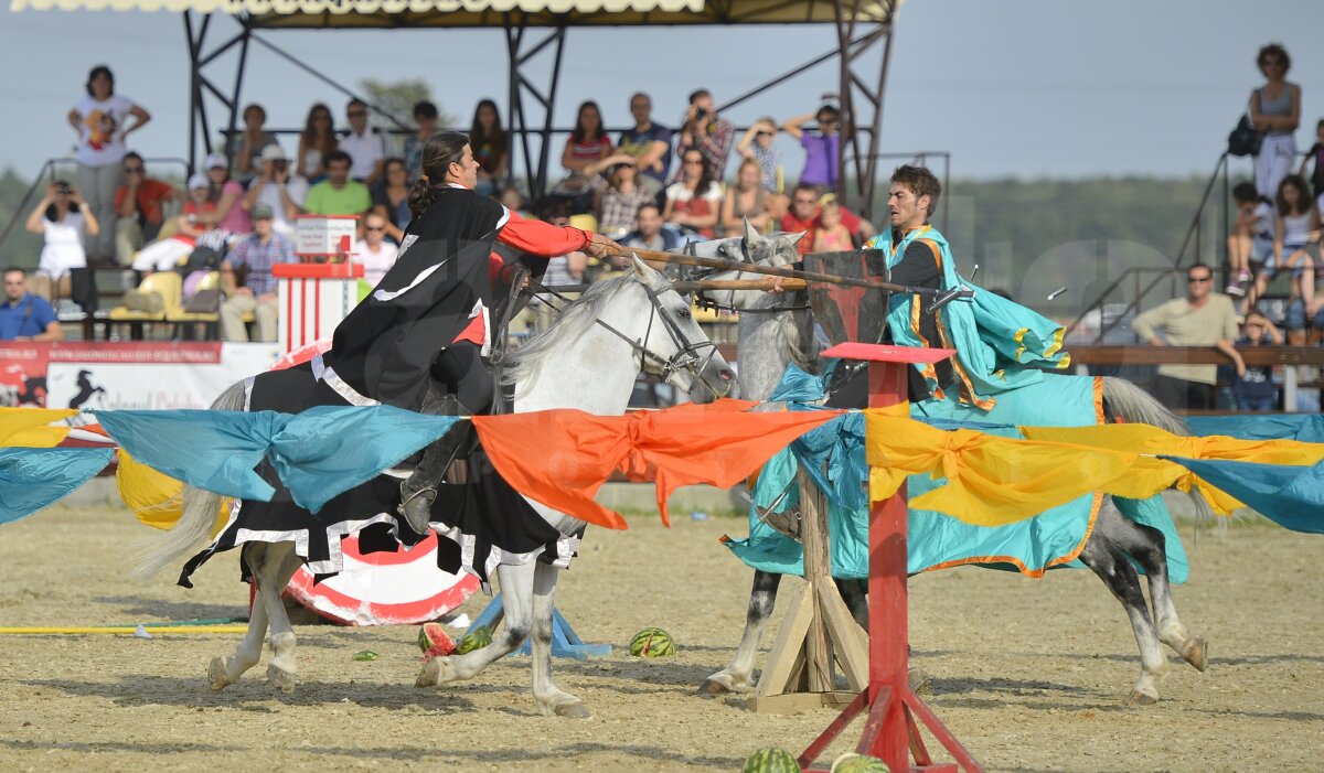 Salonul Calului, eveniment în premieră! Un fotoreportaj impresionant de la spectacolul ecvestru de la Tîncăbeşti