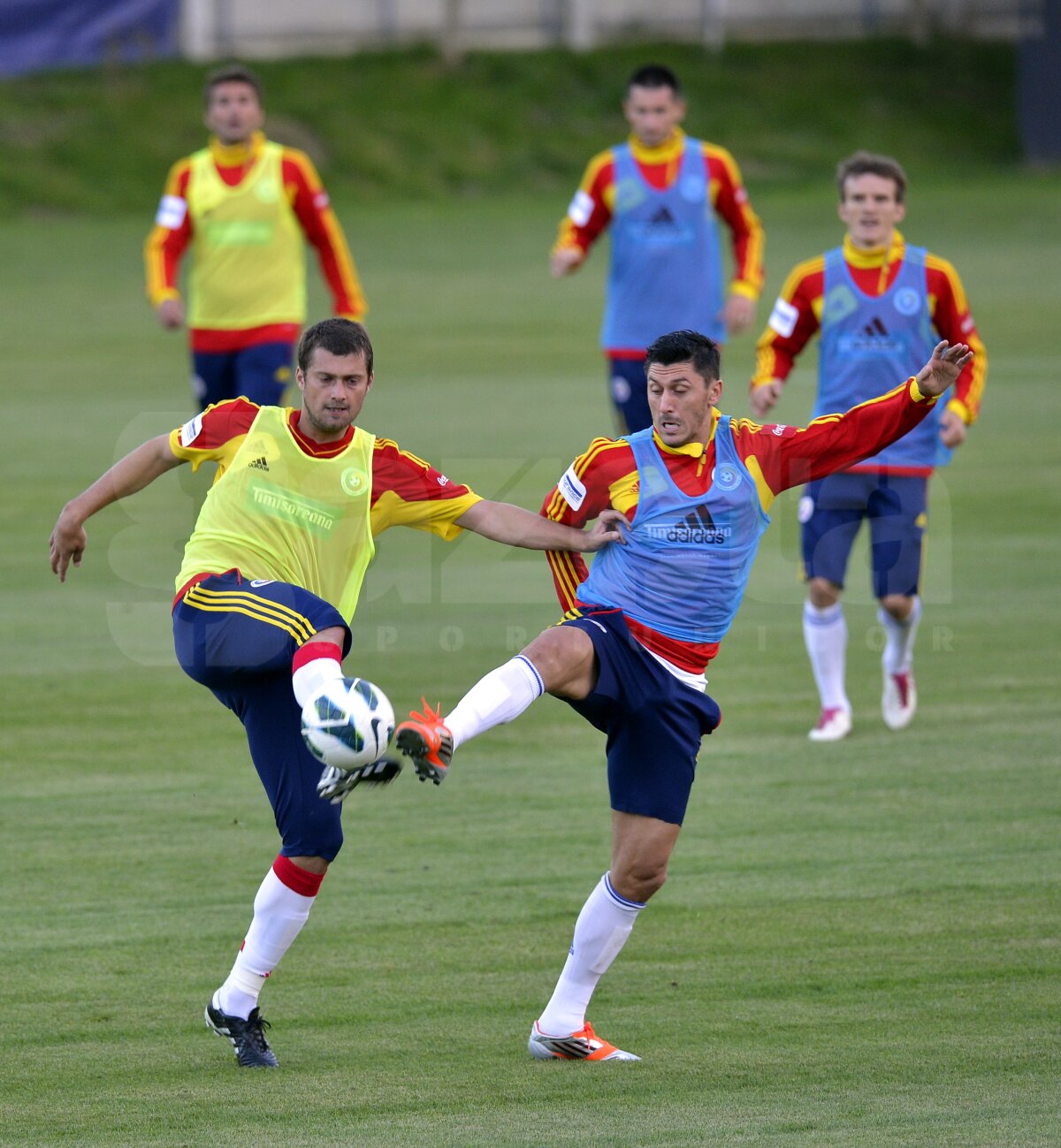 FOTO Cu ei speriem Turcia şi Olanda » Mutu, Marica şi Tamaş, arţăgoşi la antrenament